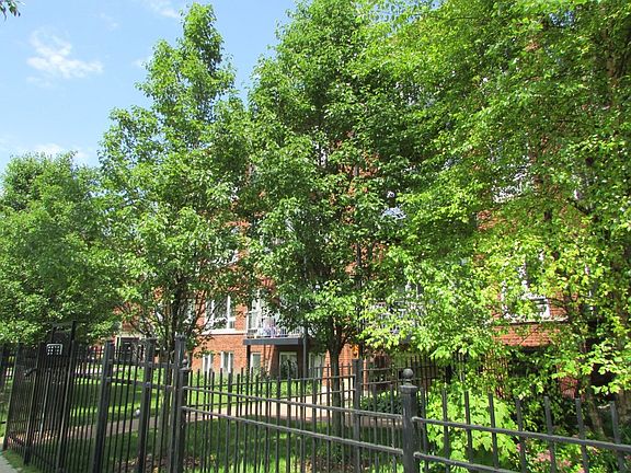 2nd image of 5923 N Winthrop Ave APT 3N