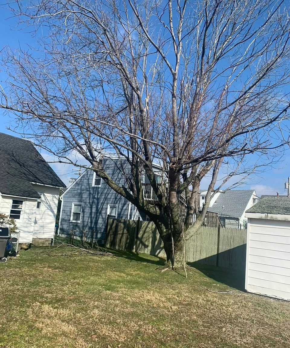 712 Beach Ave W — Photo 2