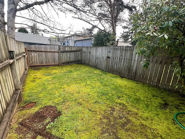 3926 Edgewood Dr — Photo 11