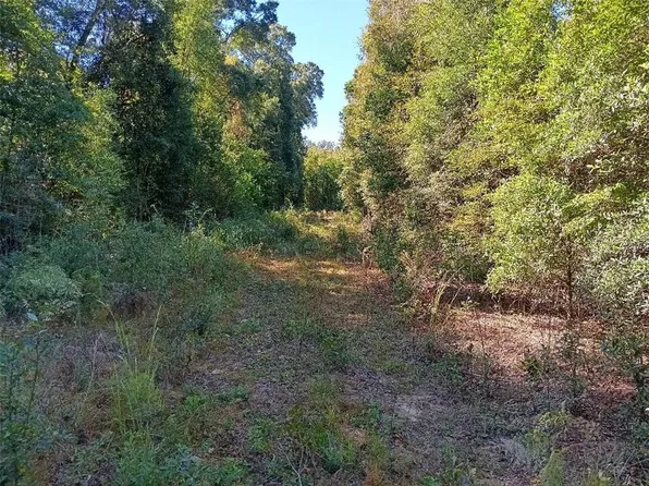 0 Warren Creek Rd, Grand Bay, AL 36541