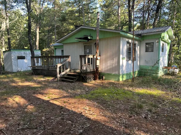 11801 S Shady Grove Dr, Baldwin, MI 49304