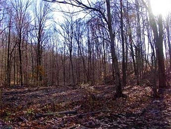 2nd image of 480 Mountain Rd