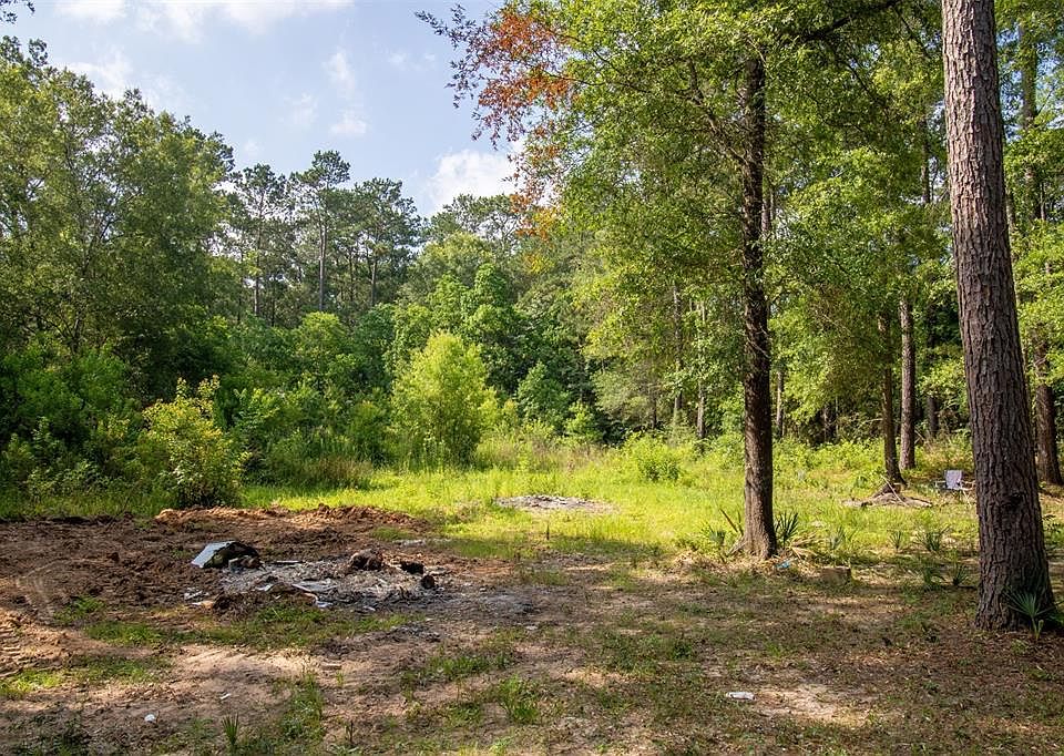 18600 Woodland Forest Dr, Conroe, TX 77306 | MLS #18485574 | Zillow