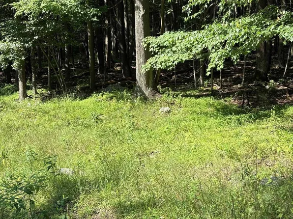 34 E Alpine Dr, Terra Alta, WV 26764