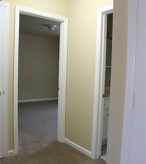 110 Dupuy Ave — Photo 11