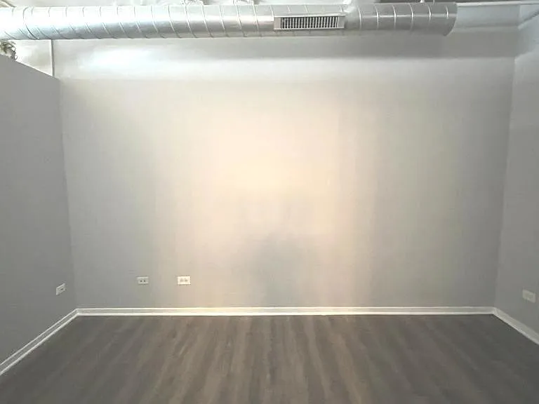 500 S Clinton St #503 — Photo 10