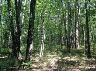 Muscott Trail Parcel #F, Indian River, MI 49749