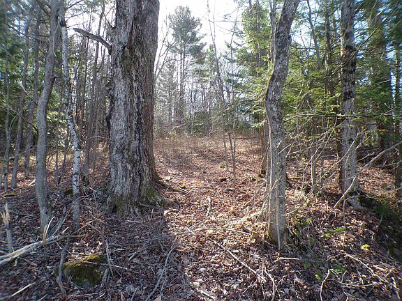 5th image of 440 Baird Road