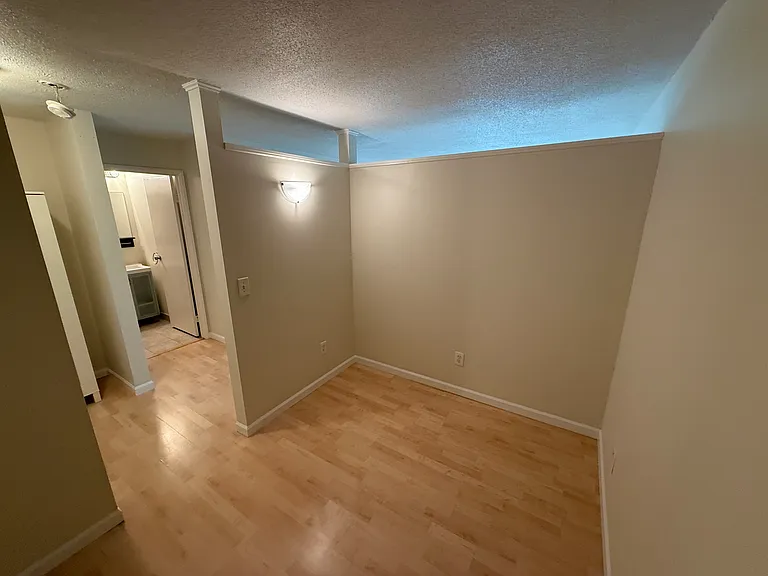 333 8th St SE #205 — Photo 10