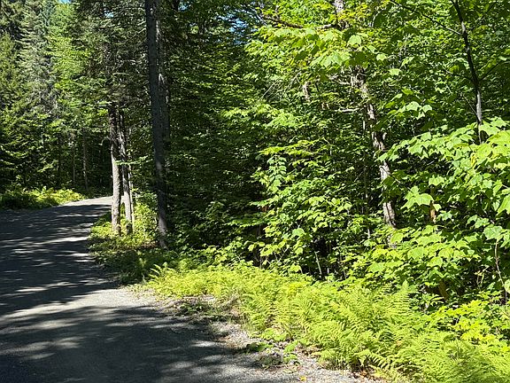 5th image of Map 40 Lot 5 Wilson Pond Road