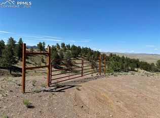 1554 Wolfe Rd, Hartsel, CO 80449