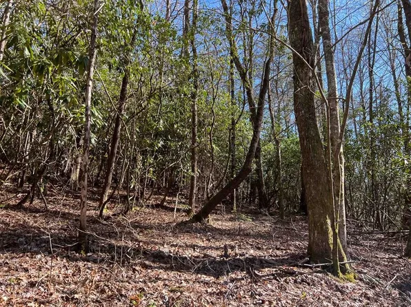 4.90 Wayah Road, Nantahala, NC 28781
