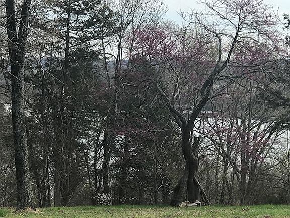 3rd image of 116 Shiloh Ln