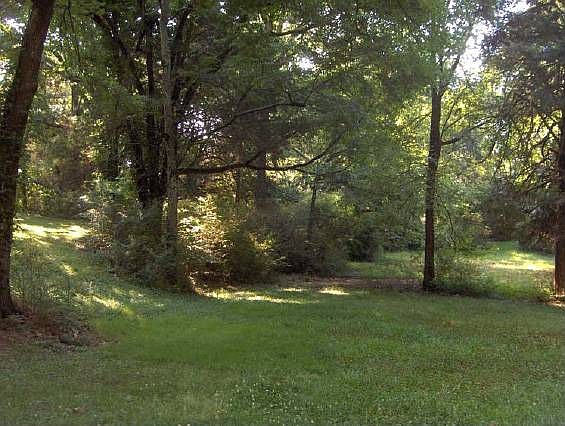 2nd image of 7811 Poplar Ave