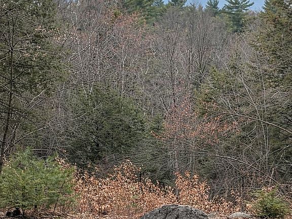 5th image of 0 Greenwood Road map 8 lot 37H
