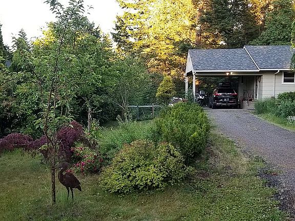 North side yard