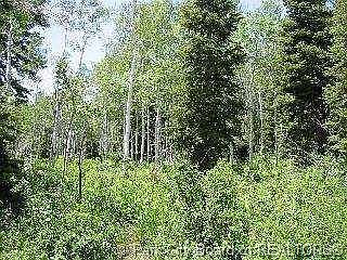 1st image of F 6 Pine Needle Cir #F-6