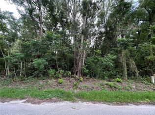 0 SE 135th Pl LOT 20, Summerfield, FL 34491