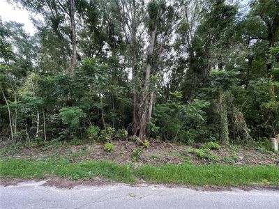 0 SE 135th Pl LOT 20, Summerfield, FL, 34491