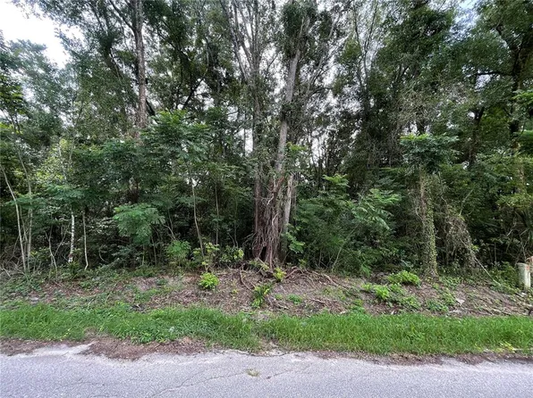 0 SE 135th Pl Lot 20, Summerfield, FL 34491