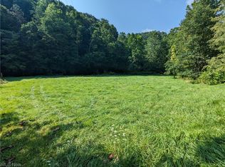 1700 Fork Rd, Big Springs, WV 26137