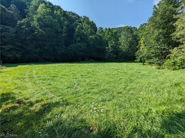 1700 Fork Rd, Big Springs, WV 26137