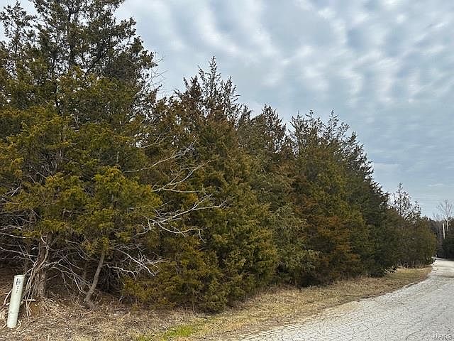 1st image of 0 Sassafras Dr #19-lot 209
