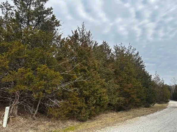 0 Sassafras Dr #19-lot 209, Hillsboro, MO 63050