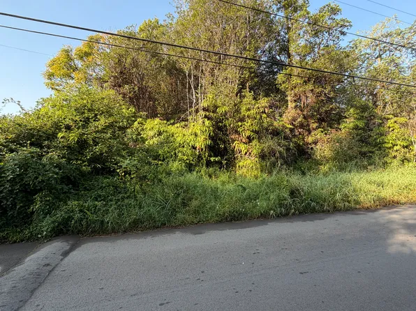 Palm Tree Dr Lot 174, Mountain View, HI 96771