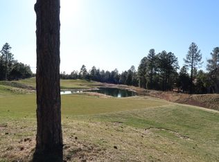 4101 W Flax Ln, Show Low, AZ 85901