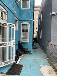 photo 39