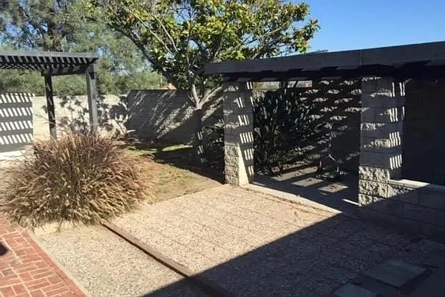 Backyard
