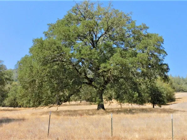 112 Union Mine Rd, El Dorado, CA 95623