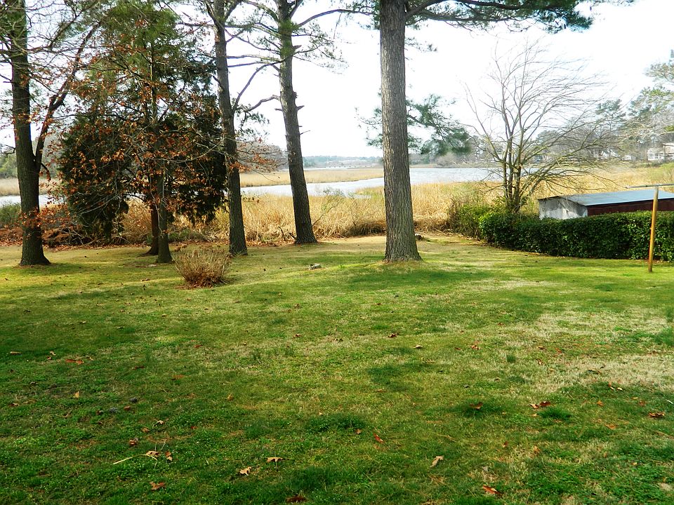 View from back yard
