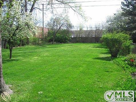 IMG_0051 (640x480).jpg