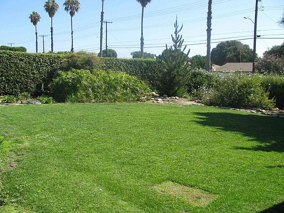 Front Yard