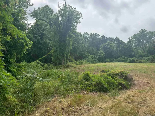 510 W Martin Luther King Jr Blvd, Tyler, TX 75702