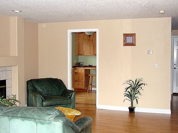 Family Room with Fireplace
