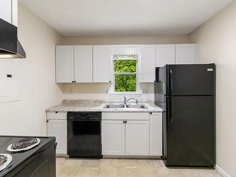 100 Bearwood Dr — Photo 5