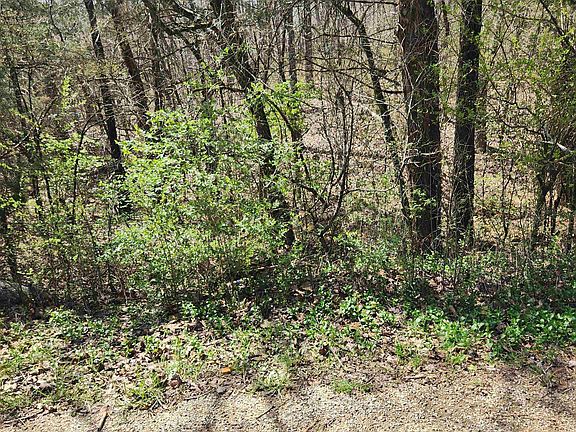 2nd image of L-19-B Ouachita Rd #9