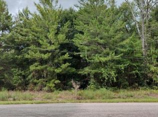 4 Guava Pass LOT 4, Ocklawaha, FL 32179