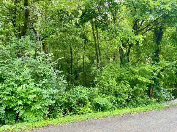 5119 Odell Rd, Knoxville, TN 37920