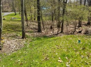 151 W Groves St, Summersville, WV 26651