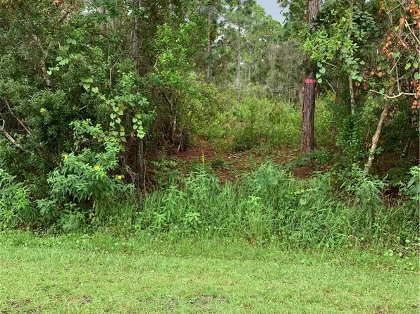 1021 Burnett St, Lake Placid, FL 33852