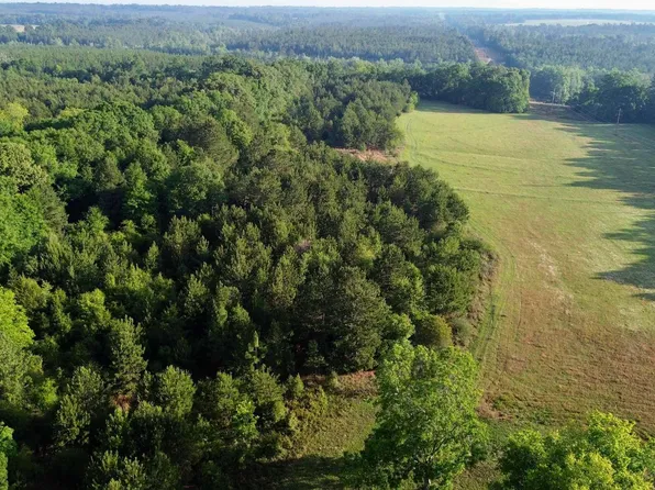 0 Joe Reeves Rd, Castleberry, AL 36432