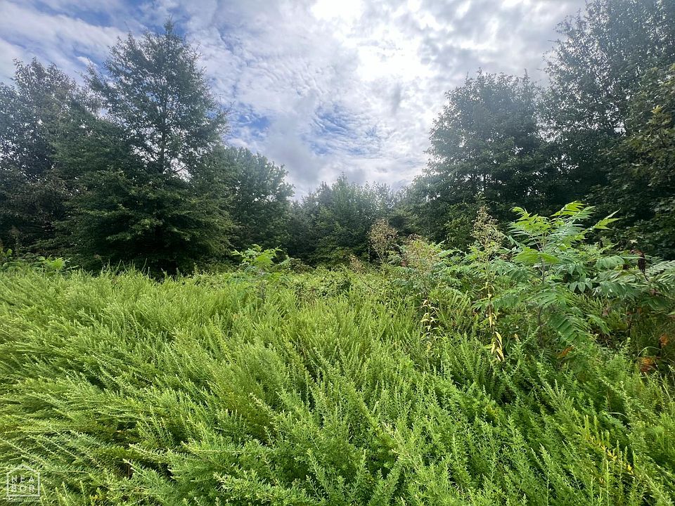 2nd image of 88 County Road 1661