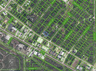 111 Harvey Ave, Lake Placid, FL 33852