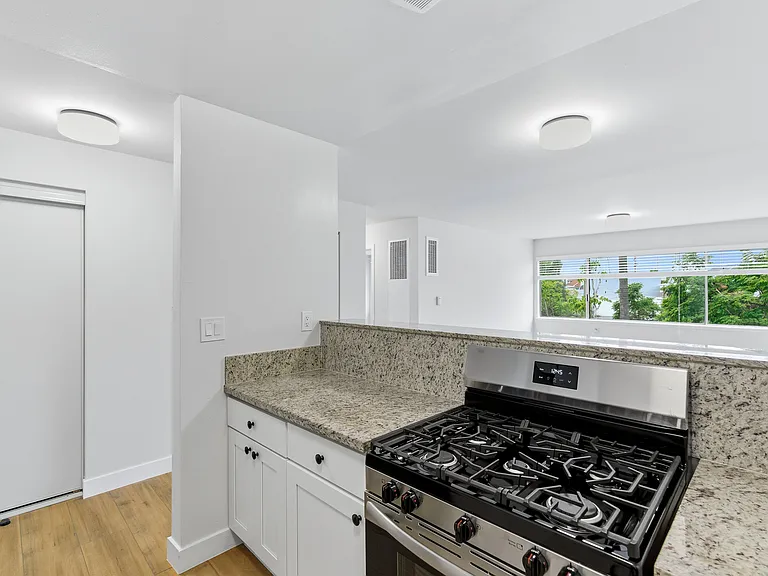 1922 S Hobart Blvd #9 — Photo 14