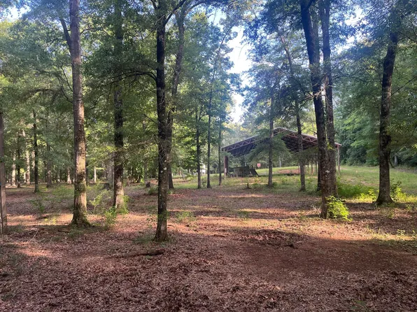 1001 Rose Hill Rd, Nauvoo, AL 35578