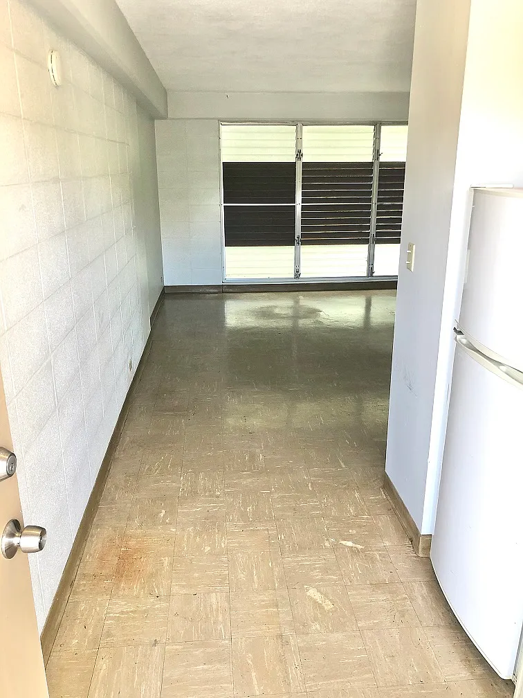 Studio, 300 sqft, $1,095 — Photo 2